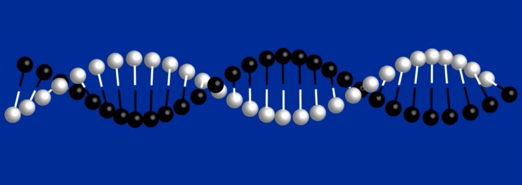 DNA double-helix molecule