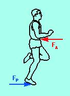 Diagram of horizontal forces exerted on a sprinter
